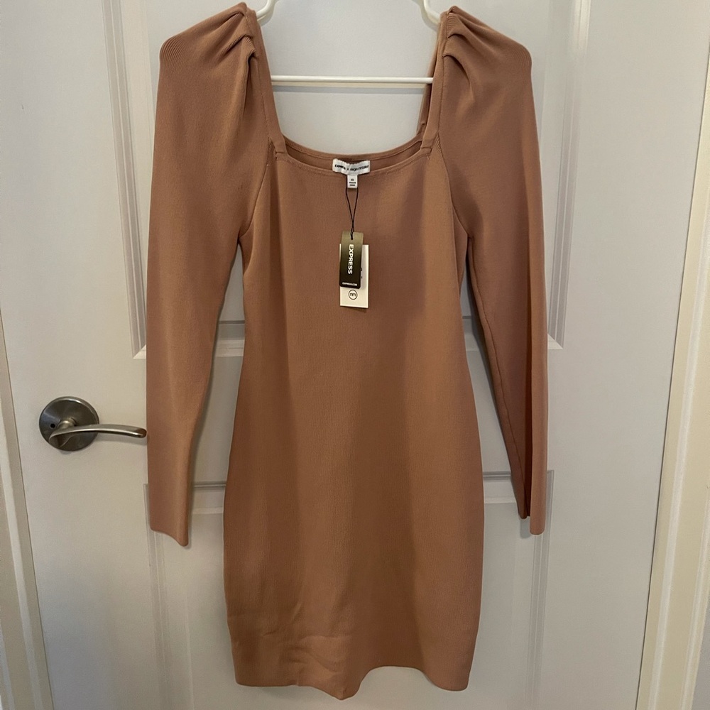 NWT Express X Negin Mirsalehi Fitted Dress